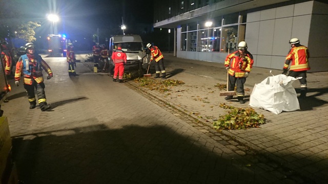 DSC_0521 bearbeitet groß 1.jpg